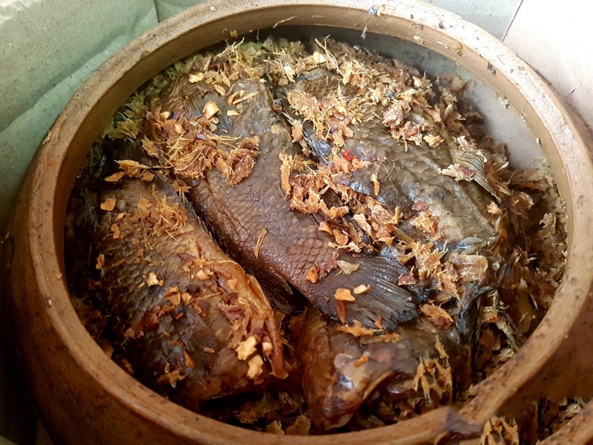 carodong4